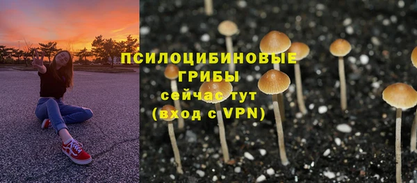 гашик Саяногорск