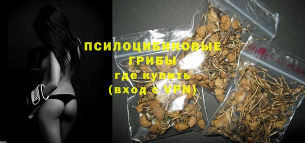 ешки Абаза